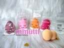 Beauty Blender